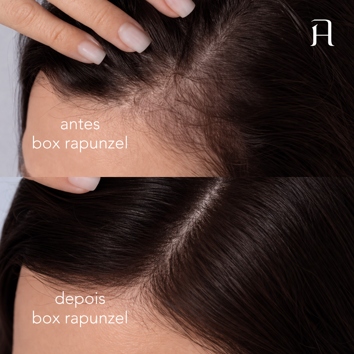 BOX RAPUNZEL image number 3